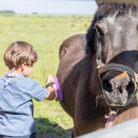 ノイハルリンガージールFriesenhof Janssen - Urlaub Auf Dem Bauernhofアパートメント エクステリア 写真